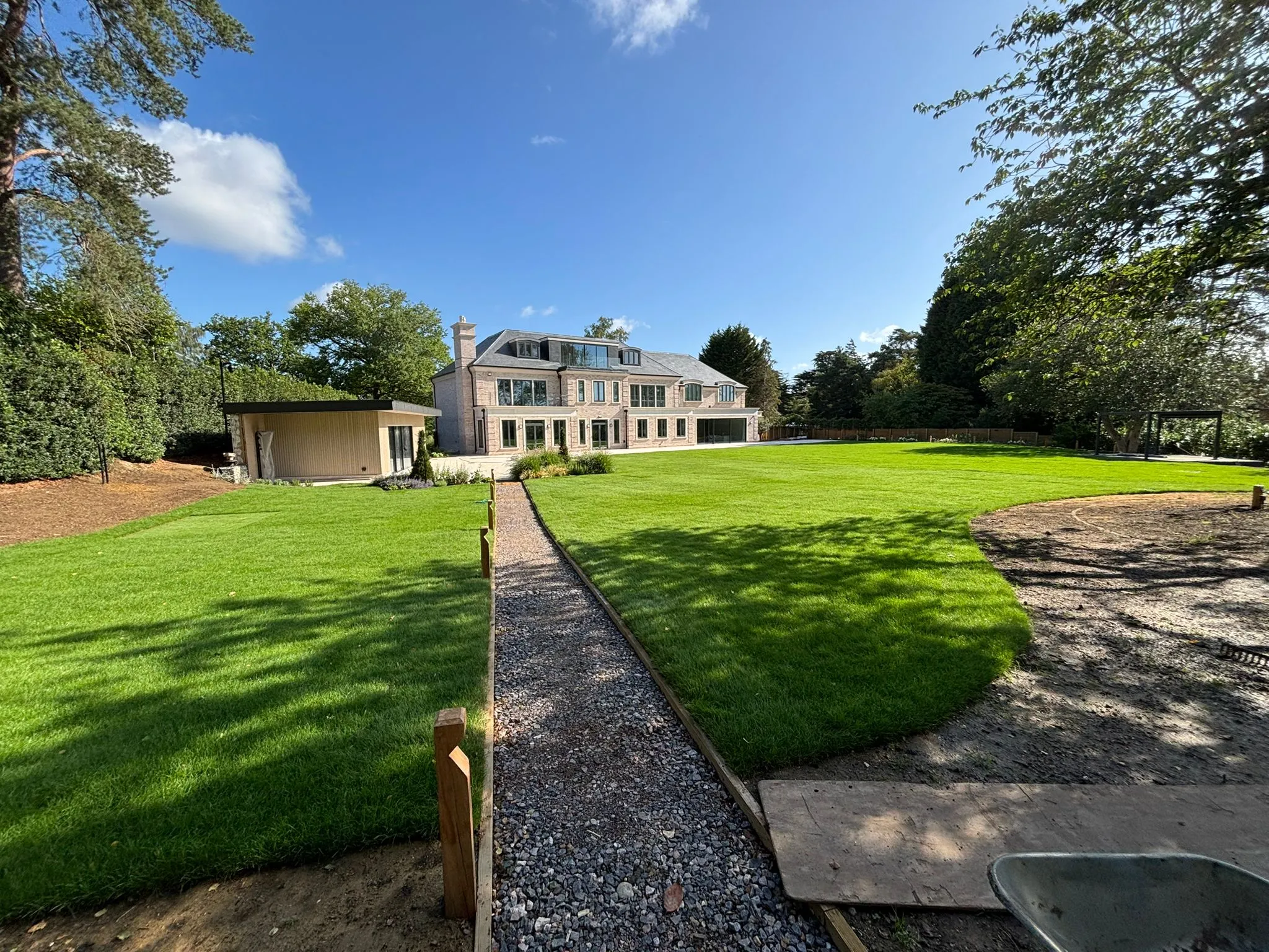 before and after small grass