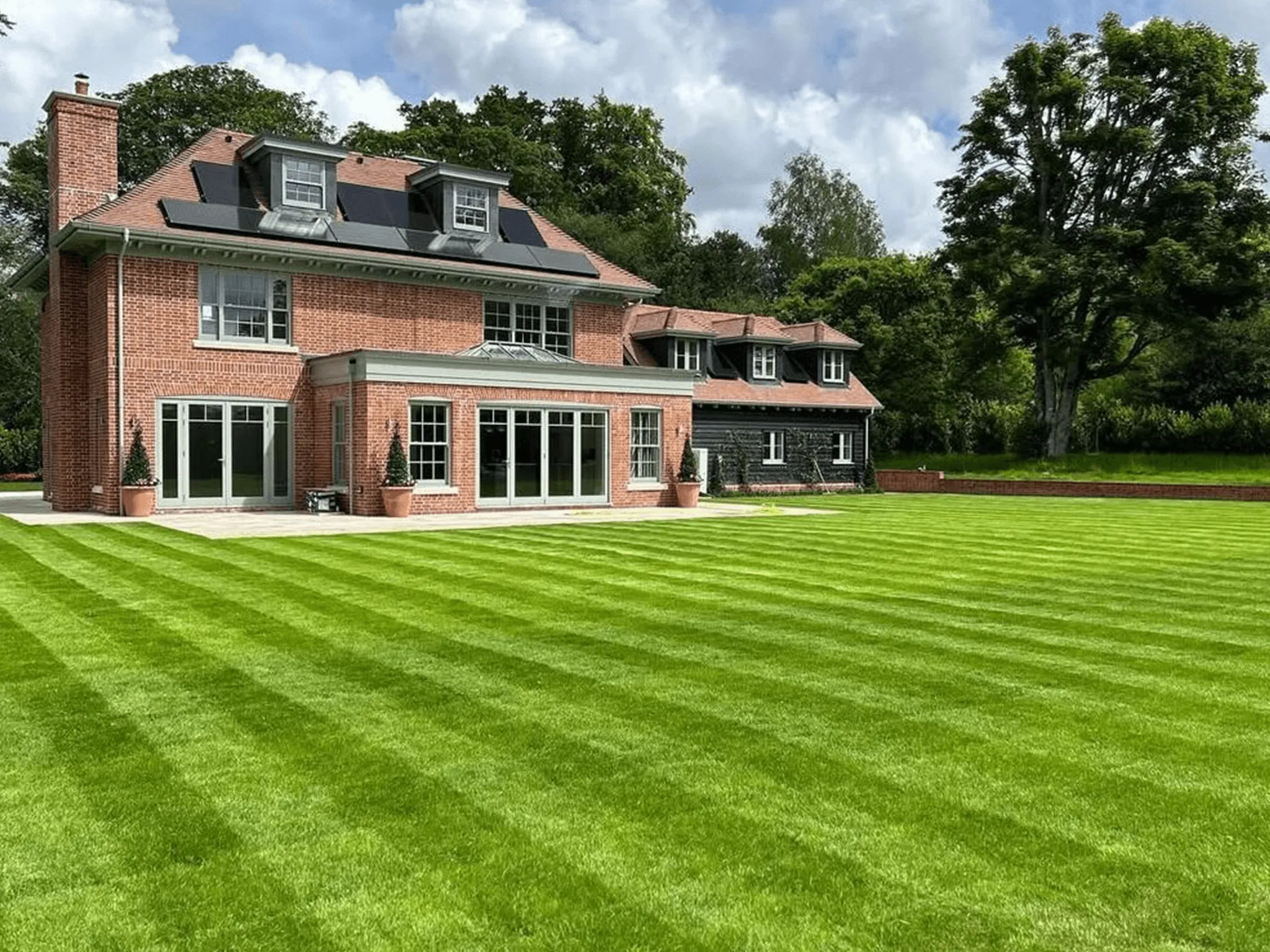 before and after small grass