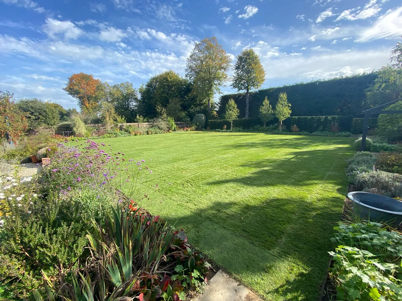 before and after redone grass and plants